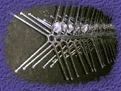 airbourne012.jpg